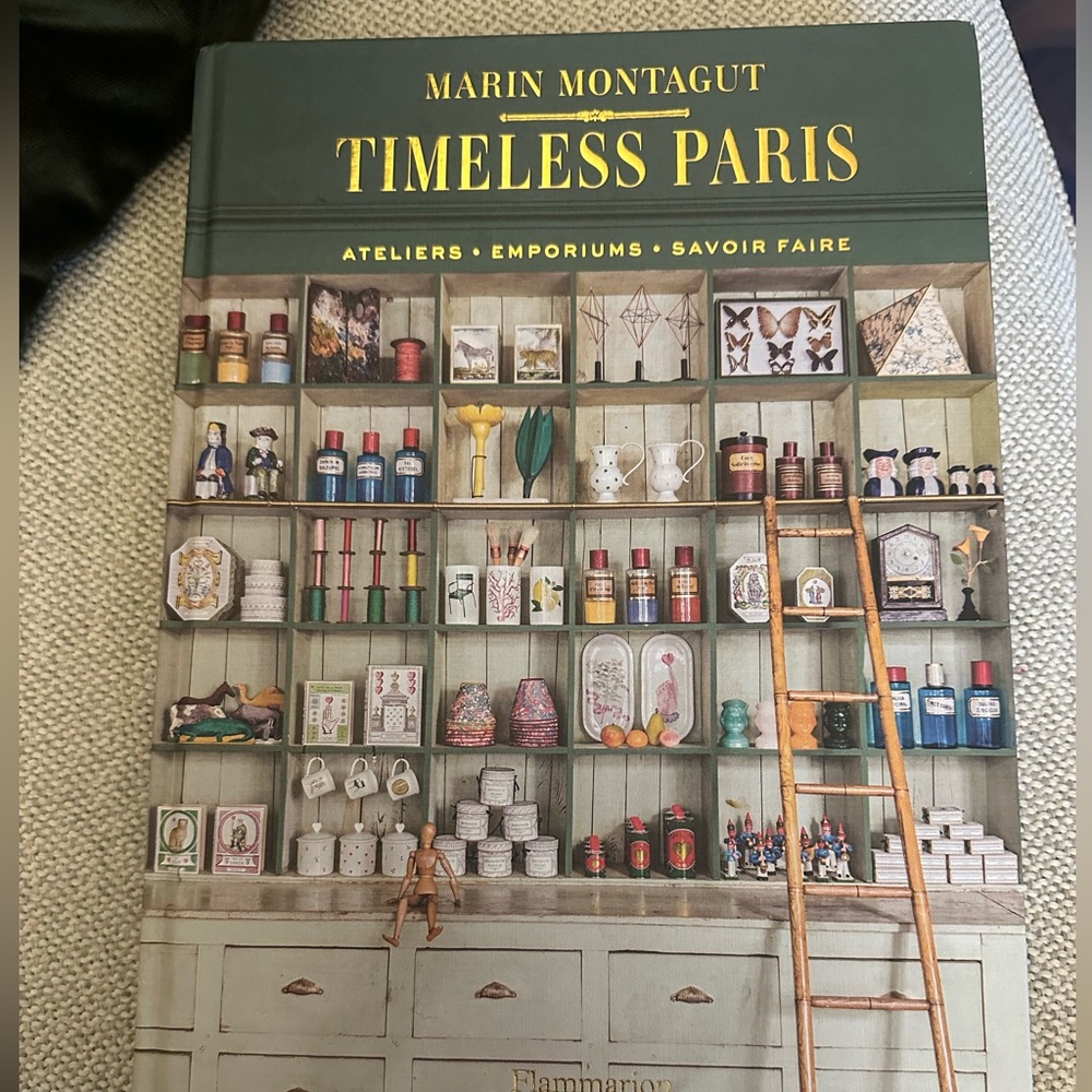 Marin Montagut Timeless Paris book. Mint!